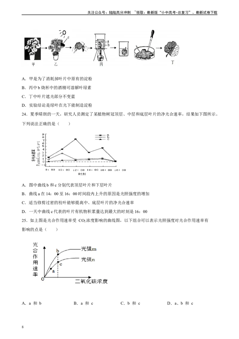 专题07绿色植物的光合作用（习题精练）（原卷版）_02中考总复习（2026版更新中）_08-生物-中考总复习_2024年中考复习资料_一轮复习_配套练习（原卷版+解析版）
