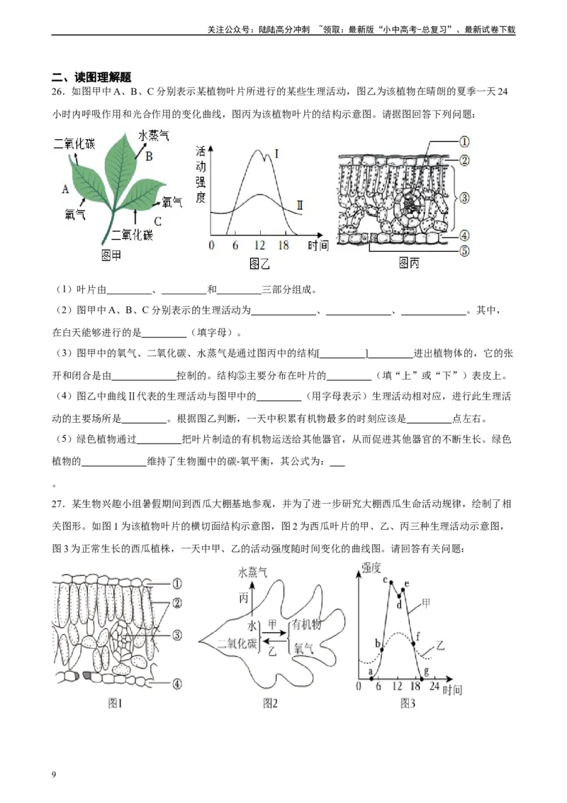 专题07绿色植物的光合作用（习题精练）（原卷版）_02中考总复习（2026版更新中）_08-生物-中考总复习_2024年中考复习资料_一轮复习_配套练习（原卷版+解析版）