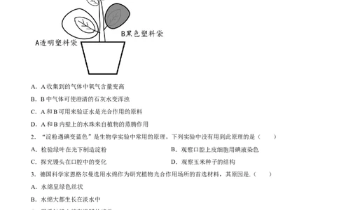 专题07绿色植物的光合作用（习题精练）（原卷版）_02中考总复习（2026版更新中）_08-生物-中考总复习_2024年中考复习资料_一轮复习_配套练习（原卷版+解析版）