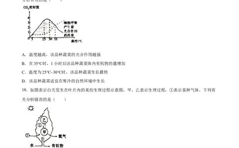 专题07绿色植物的光合作用（习题精练）（原卷版）_02中考总复习（2026版更新中）_08-生物-中考总复习_2024年中考复习资料_一轮复习_配套练习（原卷版+解析版）