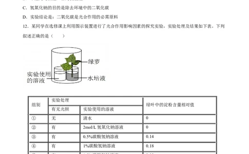 专题07绿色植物的光合作用（习题精练）（原卷版）_02中考总复习（2026版更新中）_08-生物-中考总复习_2024年中考复习资料_一轮复习_配套练习（原卷版+解析版）