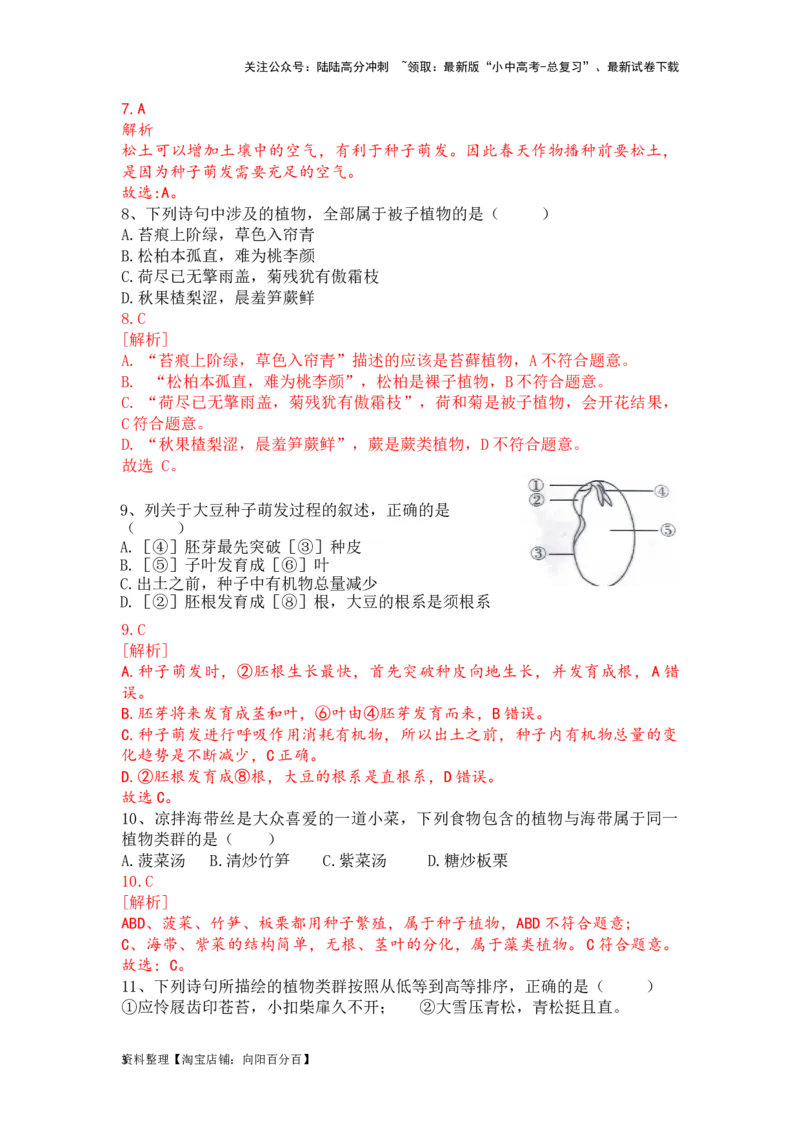专题06生物圈中有哪些绿色植物及种子的萌发（解析版）_02中考总复习（2026版更新中）_08-生物-中考总复习_2024年中考复习资料_一轮复习_配套练习_教师版（含答案解析）