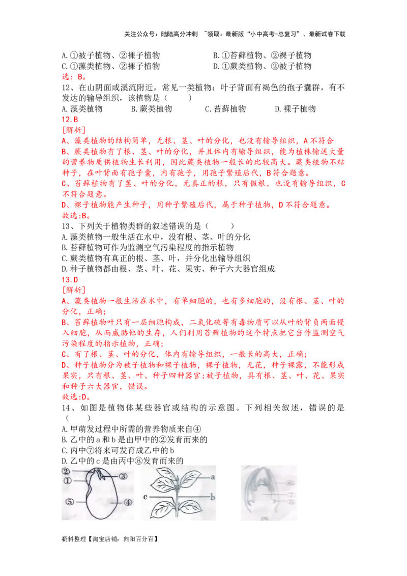 专题06生物圈中有哪些绿色植物及种子的萌发（解析版）_02中考总复习（2026版更新中）_08-生物-中考总复习_2024年中考复习资料_一轮复习_配套练习_教师版（含答案解析）