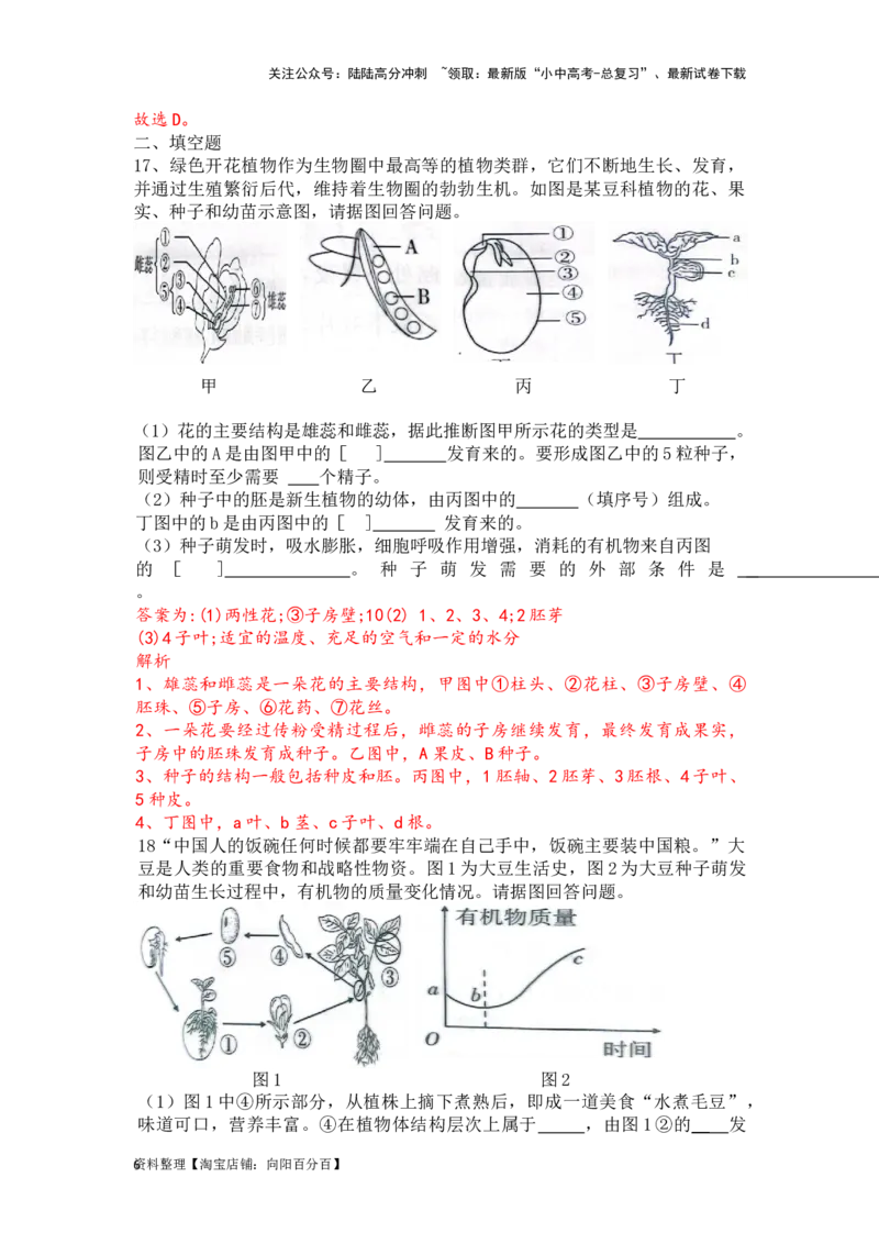 专题06生物圈中有哪些绿色植物及种子的萌发（解析版）_02中考总复习（2026版更新中）_08-生物-中考总复习_2024年中考复习资料_一轮复习_配套练习_教师版（含答案解析）