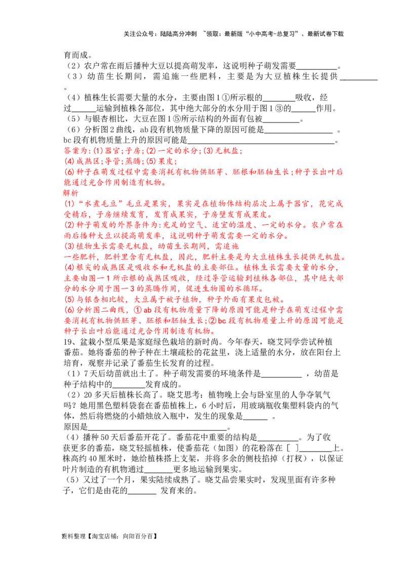 专题06生物圈中有哪些绿色植物及种子的萌发（解析版）_02中考总复习（2026版更新中）_08-生物-中考总复习_2024年中考复习资料_一轮复习_配套练习_教师版（含答案解析）
