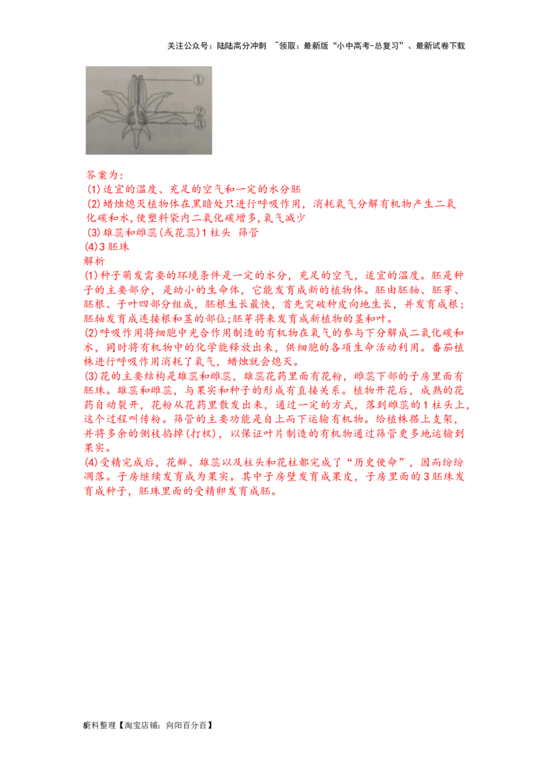 专题06生物圈中有哪些绿色植物及种子的萌发（解析版）_02中考总复习（2026版更新中）_08-生物-中考总复习_2024年中考复习资料_一轮复习_配套练习_教师版（含答案解析）