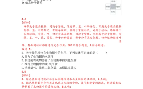 专题06生物圈中有哪些绿色植物及种子的萌发（解析版）_02中考总复习（2026版更新中）_08-生物-中考总复习_2024年中考复习资料_一轮复习_配套练习_教师版（含答案解析）