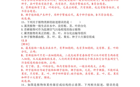 专题06生物圈中有哪些绿色植物及种子的萌发（解析版）_02中考总复习（2026版更新中）_08-生物-中考总复习_2024年中考复习资料_一轮复习_配套练习_教师版（含答案解析）