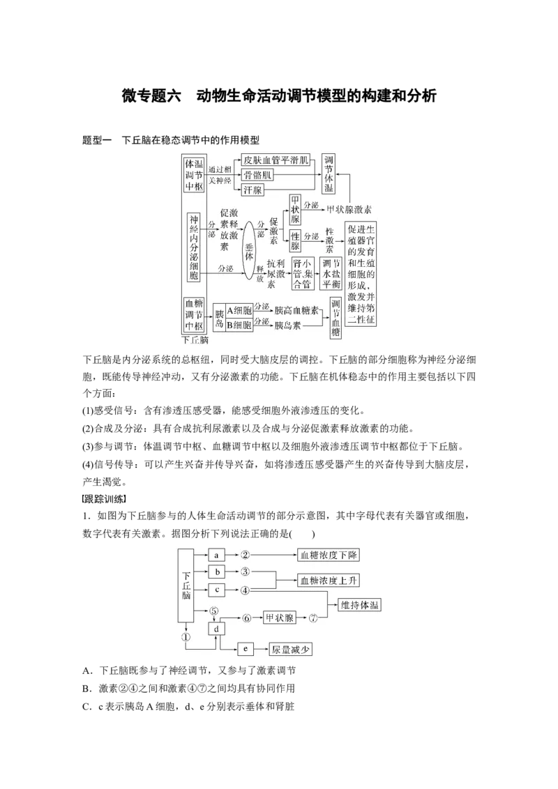 2024年高考生物一轮复习（新人教版）第8单元　微专题六　动物生命活动调节模型的构建和分析_09高考生物_2024年新高考资料_1.2024一轮复习_2024年高考生物一轮复习讲义（新人教版）