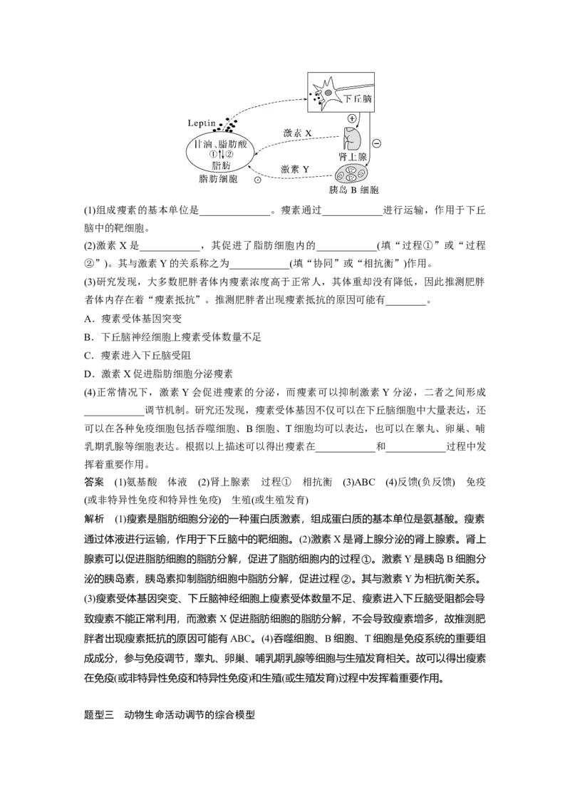 2024年高考生物一轮复习（新人教版）第8单元　微专题六　动物生命活动调节模型的构建和分析_09高考生物_2024年新高考资料_1.2024一轮复习_2024年高考生物一轮复习讲义（新人教版）