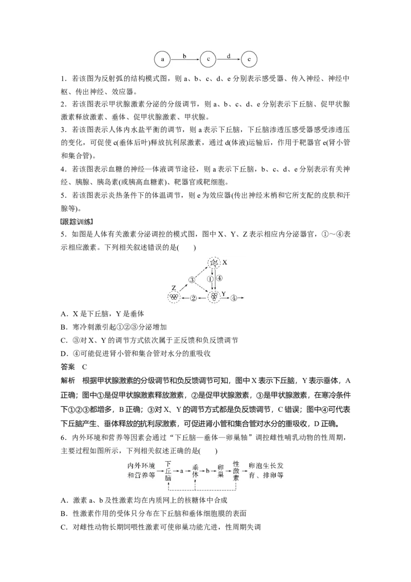 2024年高考生物一轮复习（新人教版）第8单元　微专题六　动物生命活动调节模型的构建和分析_09高考生物_2024年新高考资料_1.2024一轮复习_2024年高考生物一轮复习讲义（新人教版）