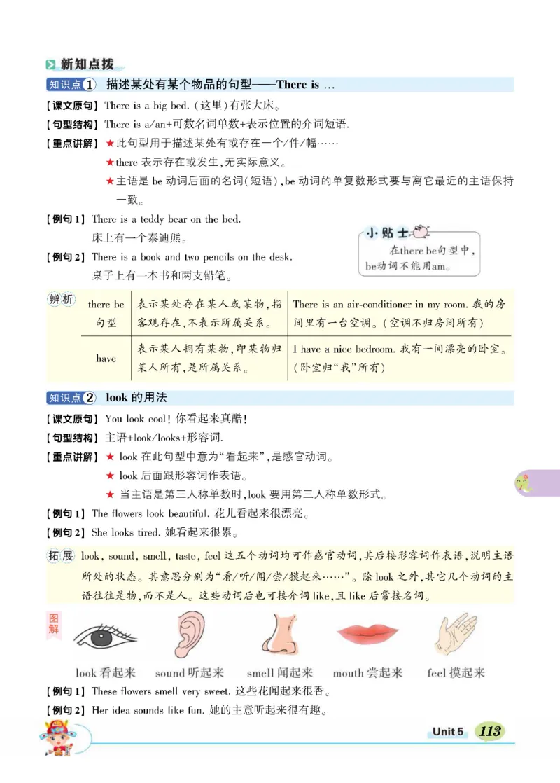 状元大课堂五年级上册英语人教PEP版正文_26春四年级上下册人教版_四上英语合集人教版PEP英语四年级上册新教材（教学视频+课件+动画+音频+练习+教案）_17练习资料_《状元导学案》