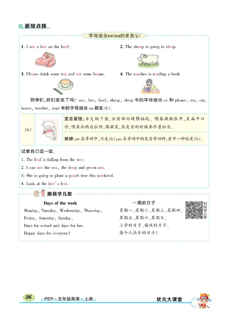 状元大课堂五年级上册英语人教PEP版正文_26春四年级上下册人教版_四上英语合集人教版PEP英语四年级上册新教材（教学视频+课件+动画+音频+练习+教案）_17练习资料_《状元导学案》