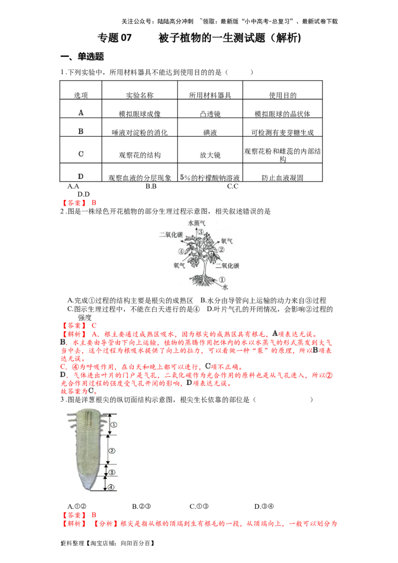 专题07被子植物的一生（解析版）_02中考总复习（2026版更新中）_08-生物-中考总复习_2024年中考复习资料_一轮复习_配套练习_教师版（含答案解析）