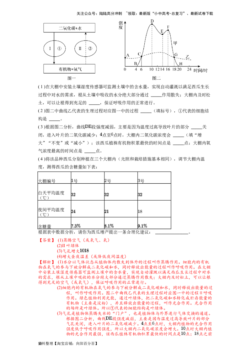 专题07被子植物的一生（解析版）_02中考总复习（2026版更新中）_08-生物-中考总复习_2024年中考复习资料_一轮复习_配套练习_教师版（含答案解析）