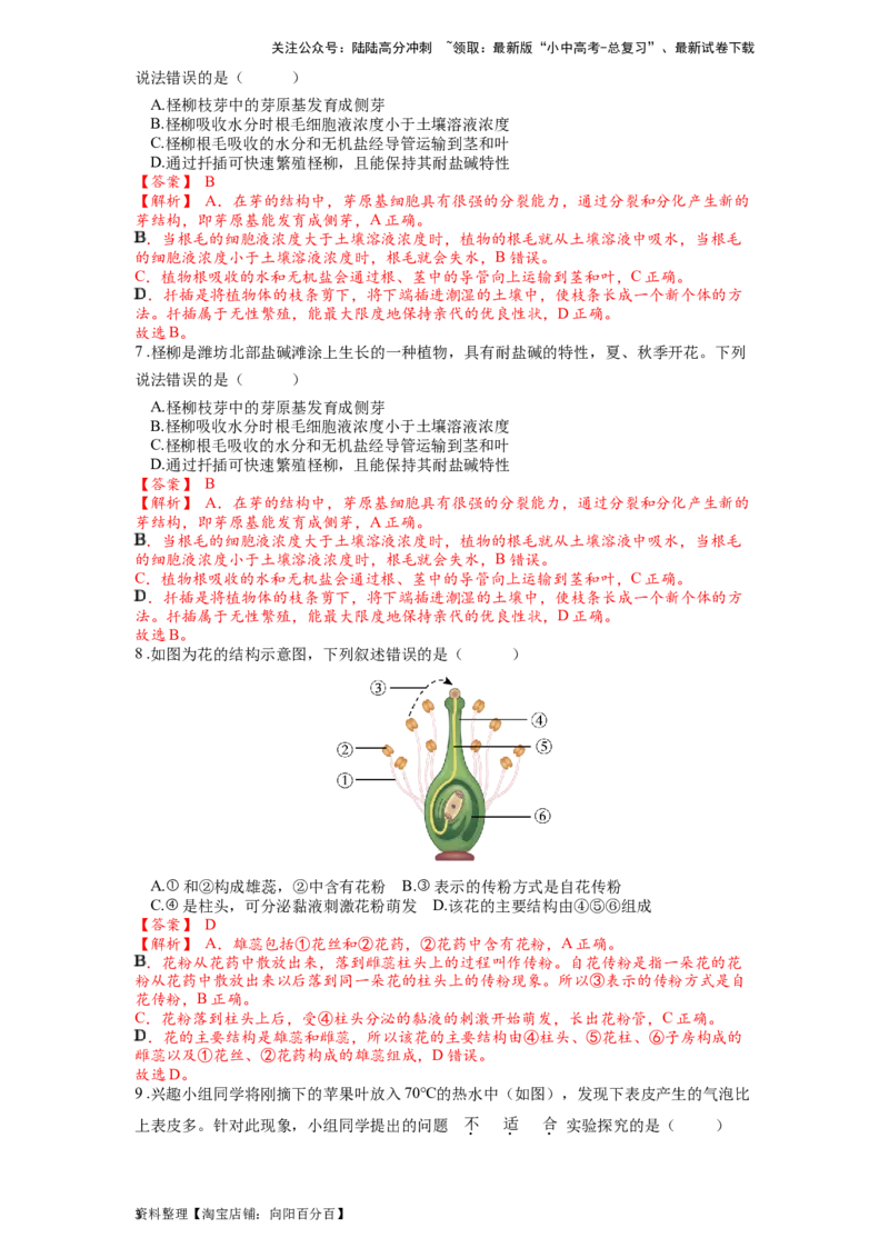 专题07被子植物的一生（解析版）_02中考总复习（2026版更新中）_08-生物-中考总复习_2024年中考复习资料_一轮复习_配套练习_教师版（含答案解析）