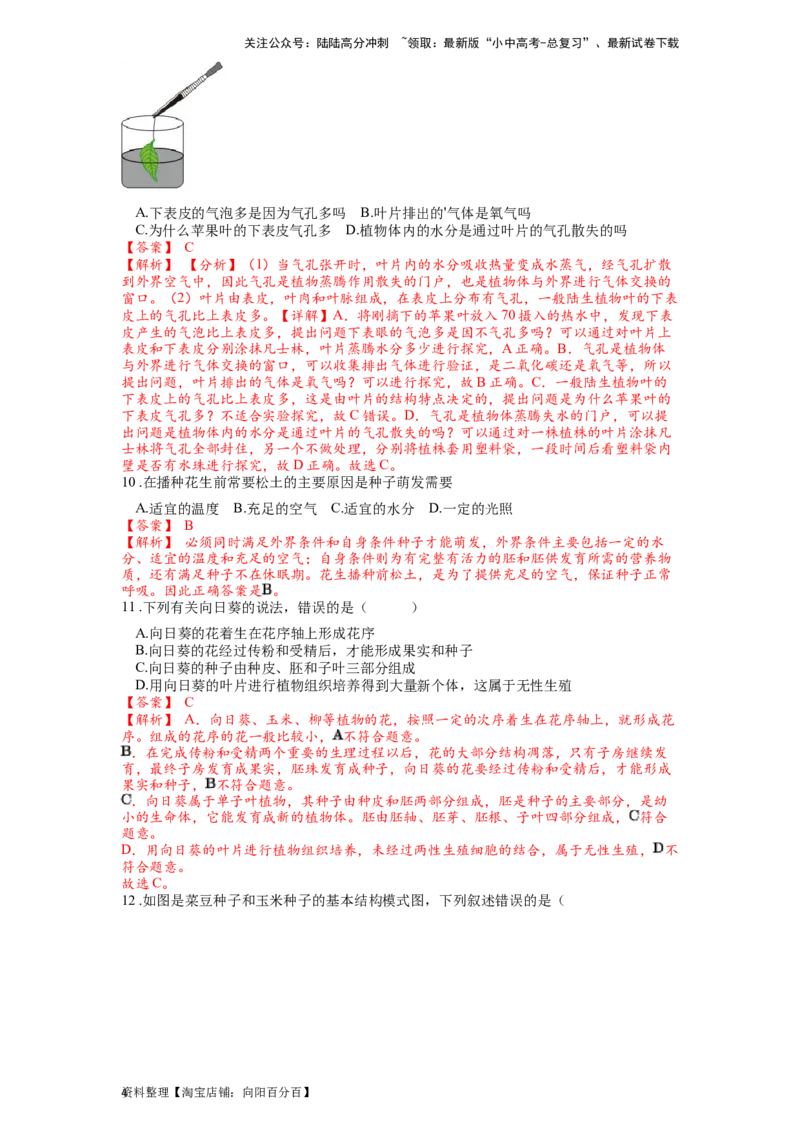 专题07被子植物的一生（解析版）_02中考总复习（2026版更新中）_08-生物-中考总复习_2024年中考复习资料_一轮复习_配套练习_教师版（含答案解析）
