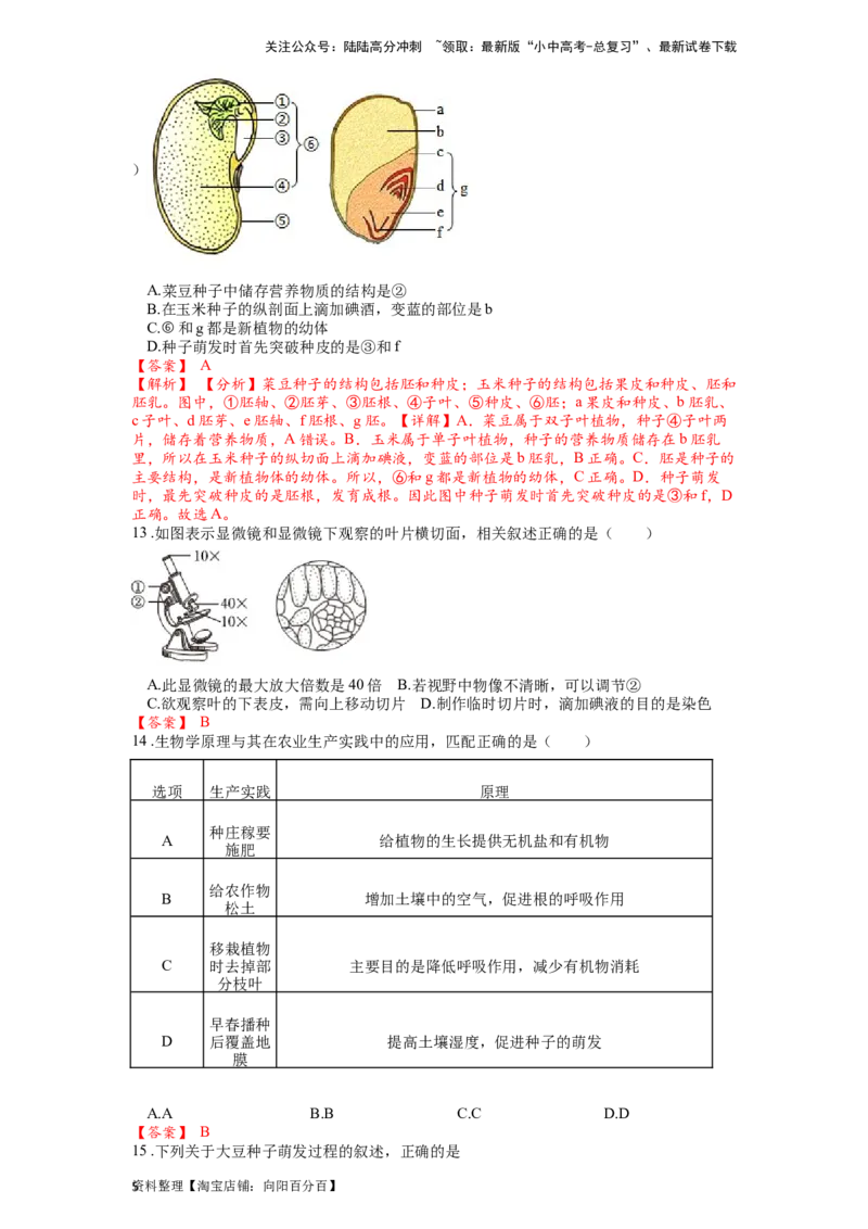 专题07被子植物的一生（解析版）_02中考总复习（2026版更新中）_08-生物-中考总复习_2024年中考复习资料_一轮复习_配套练习_教师版（含答案解析）