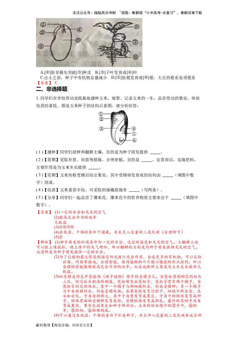 专题07被子植物的一生（解析版）_02中考总复习（2026版更新中）_08-生物-中考总复习_2024年中考复习资料_一轮复习_配套练习_教师版（含答案解析）