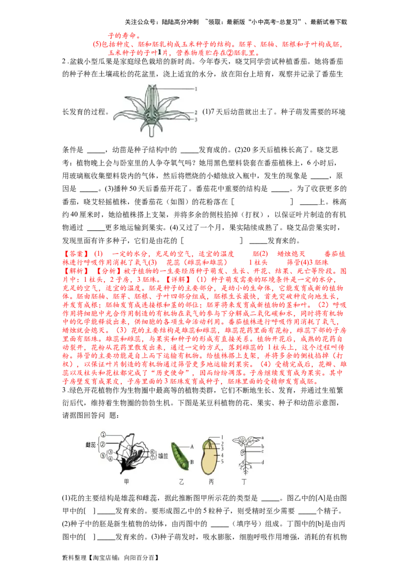 专题07被子植物的一生（解析版）_02中考总复习（2026版更新中）_08-生物-中考总复习_2024年中考复习资料_一轮复习_配套练习_教师版（含答案解析）
