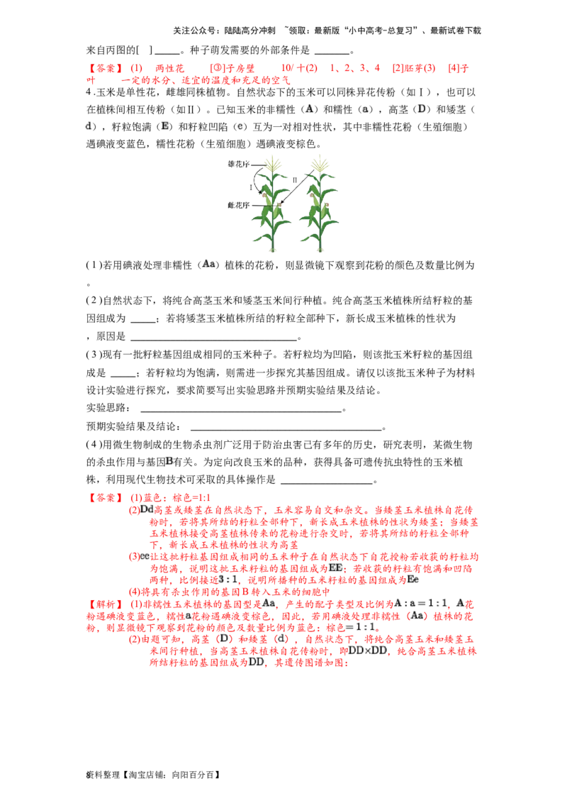 专题07被子植物的一生（解析版）_02中考总复习（2026版更新中）_08-生物-中考总复习_2024年中考复习资料_一轮复习_配套练习_教师版（含答案解析）