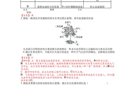 专题07被子植物的一生（解析版）_02中考总复习（2026版更新中）_08-生物-中考总复习_2024年中考复习资料_一轮复习_配套练习_教师版（含答案解析）