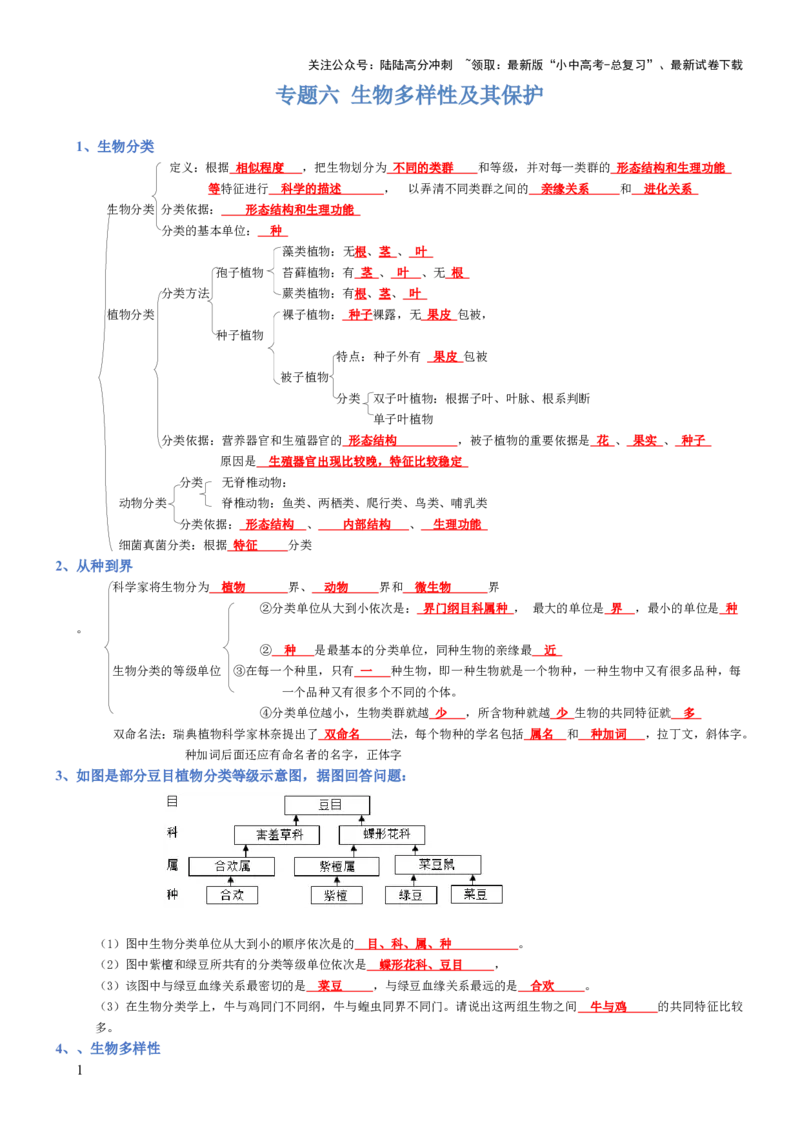 专题06生物的多样性及其保护（背诵版）_02中考总复习（2026版更新中）_08-生物-中考总复习_2025中考复习资料_2025年中考生物知识梳理_专题06生物的多样性及其保护