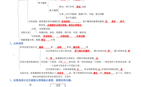 专题06生物的多样性及其保护（背诵版）_02中考总复习（2026版更新中）_08-生物-中考总复习_2025中考复习资料_2025年中考生物知识梳理_专题06生物的多样性及其保护