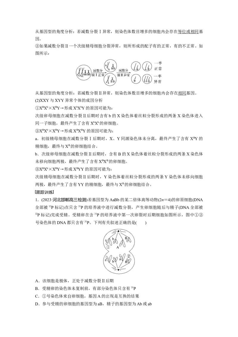 2024年高考生物一轮复习（新人教版）第4单元　微专题三　减数分裂与可遗传变异的关系_09高考生物_2024年新高考资料_1.2024一轮复习_2024年高考生物一轮复习讲义（新人教版）