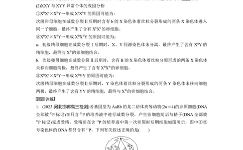 2024年高考生物一轮复习（新人教版）第4单元　微专题三　减数分裂与可遗传变异的关系_09高考生物_2024年新高考资料_1.2024一轮复习_2024年高考生物一轮复习讲义（新人教版）