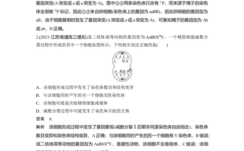 2024年高考生物一轮复习（新人教版）第4单元　微专题三　减数分裂与可遗传变异的关系_09高考生物_2024年新高考资料_1.2024一轮复习_2024年高考生物一轮复习讲义（新人教版）