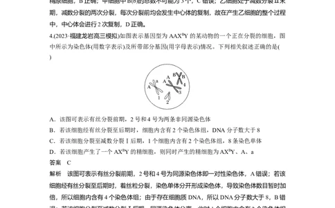2024年高考生物一轮复习（新人教版）第4单元　微专题三　减数分裂与可遗传变异的关系_09高考生物_2024年新高考资料_1.2024一轮复习_2024年高考生物一轮复习讲义（新人教版）