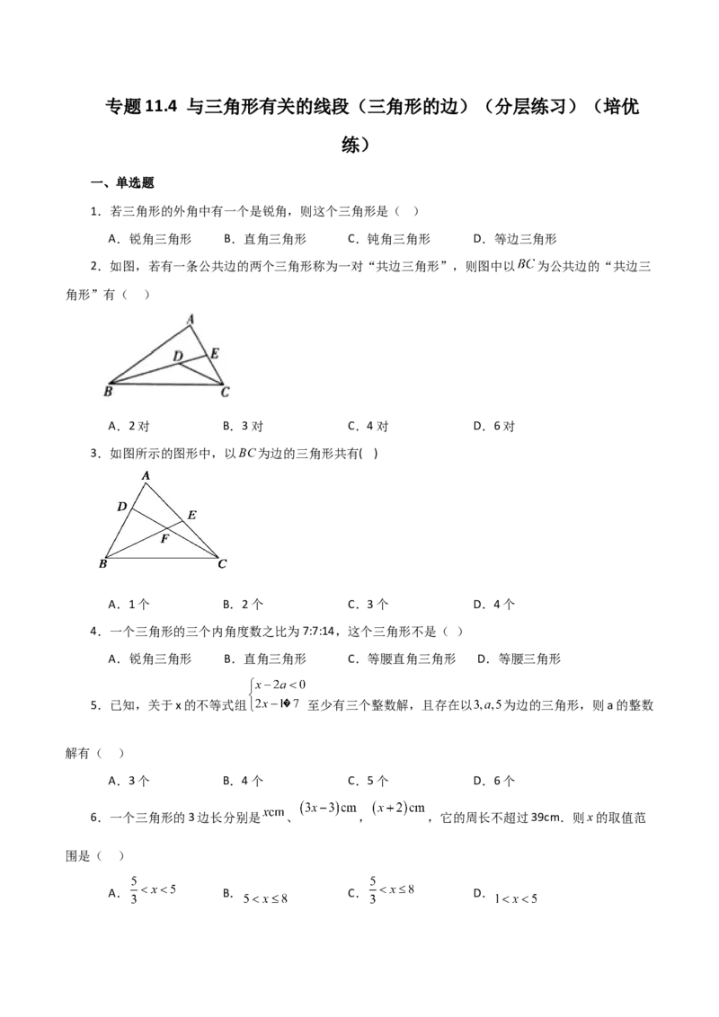 专题11.4与三角形有关的线段（三角形的边）（分层练习）（培优练）-（人教版）_初中数学_八年级数学上册（人教版）_专题突破练习-V4_2024版