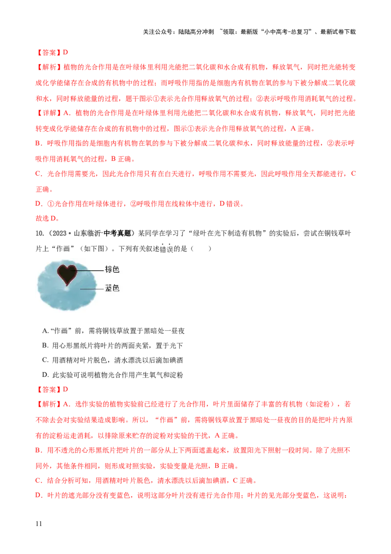 专题07绿色植物的光合作用（练习）（解析版）_02中考总复习（2026版更新中）_08-生物-中考总复习_2024年中考复习资料_一轮复习_❤2024年中考生物一轮复习讲练测（全国通用）_练习