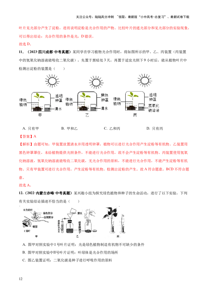 专题07绿色植物的光合作用（练习）（解析版）_02中考总复习（2026版更新中）_08-生物-中考总复习_2024年中考复习资料_一轮复习_❤2024年中考生物一轮复习讲练测（全国通用）_练习