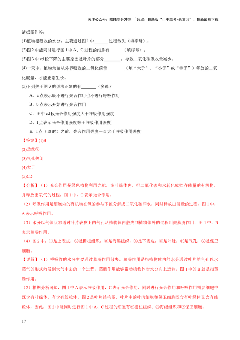 专题07绿色植物的光合作用（练习）（解析版）_02中考总复习（2026版更新中）_08-生物-中考总复习_2024年中考复习资料_一轮复习_❤2024年中考生物一轮复习讲练测（全国通用）_练习