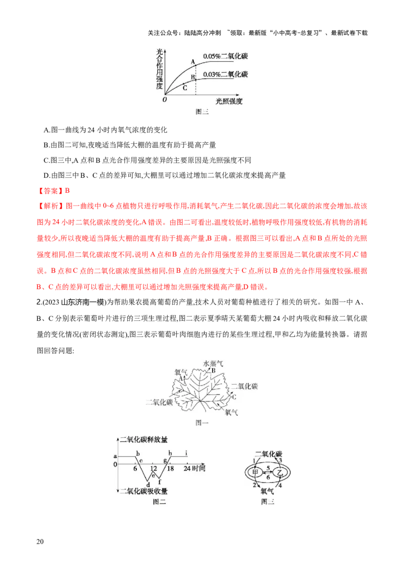 专题07绿色植物的光合作用（练习）（解析版）_02中考总复习（2026版更新中）_08-生物-中考总复习_2024年中考复习资料_一轮复习_❤2024年中考生物一轮复习讲练测（全国通用）_练习