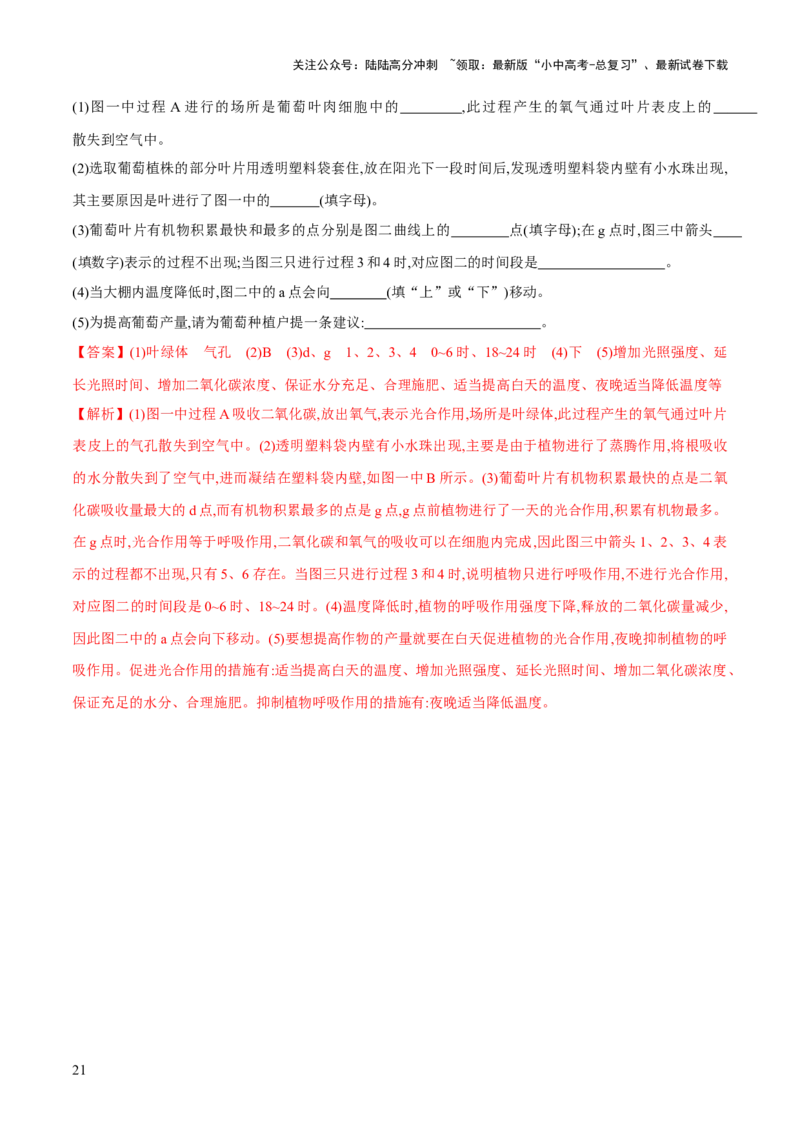 专题07绿色植物的光合作用（练习）（解析版）_02中考总复习（2026版更新中）_08-生物-中考总复习_2024年中考复习资料_一轮复习_❤2024年中考生物一轮复习讲练测（全国通用）_练习