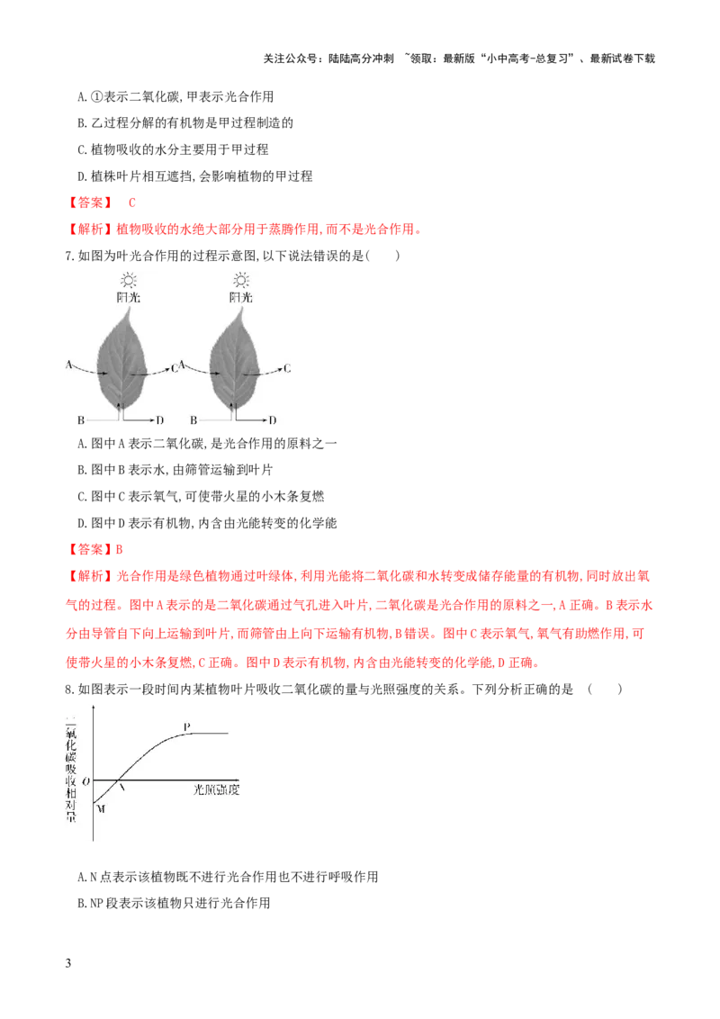 专题07绿色植物的光合作用（练习）（解析版）_02中考总复习（2026版更新中）_08-生物-中考总复习_2024年中考复习资料_一轮复习_❤2024年中考生物一轮复习讲练测（全国通用）_练习