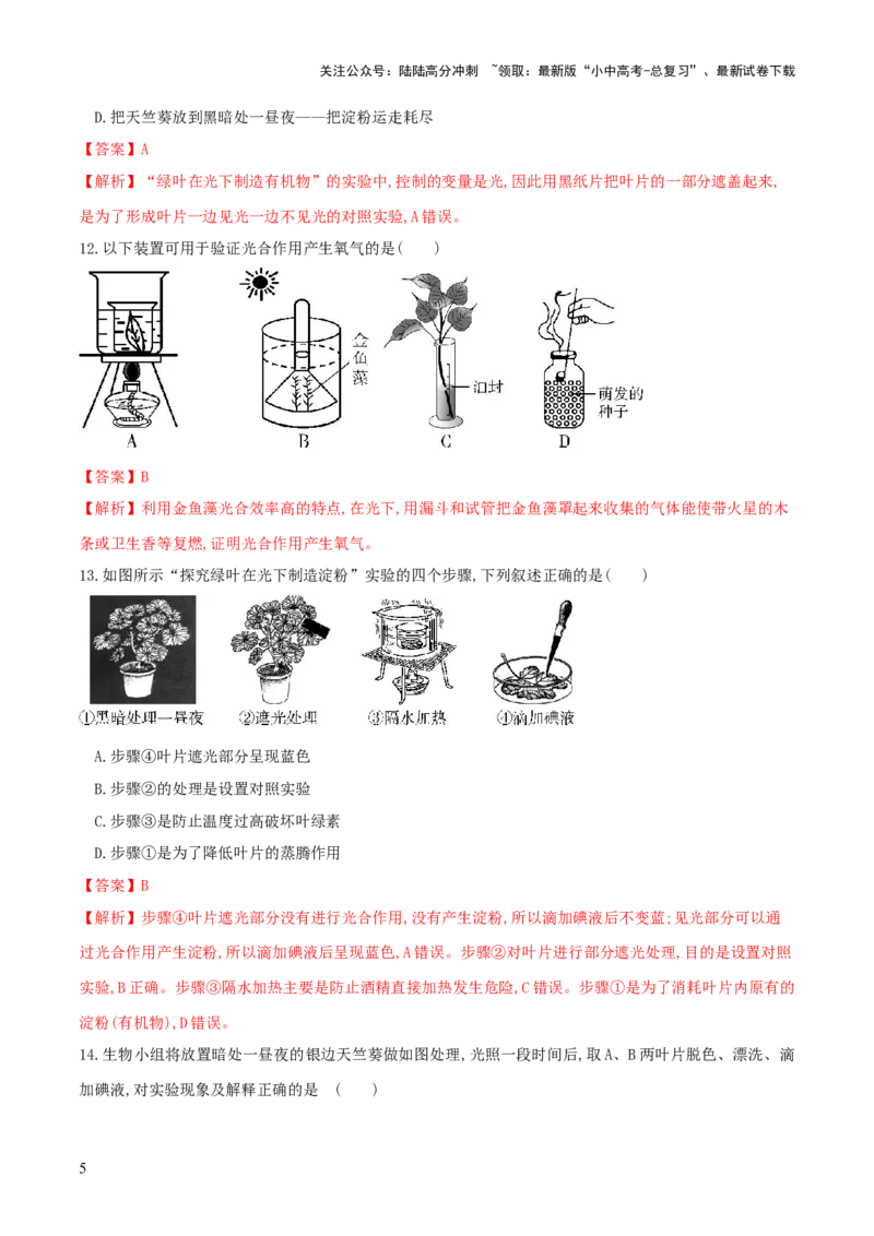 专题07绿色植物的光合作用（练习）（解析版）_02中考总复习（2026版更新中）_08-生物-中考总复习_2024年中考复习资料_一轮复习_❤2024年中考生物一轮复习讲练测（全国通用）_练习