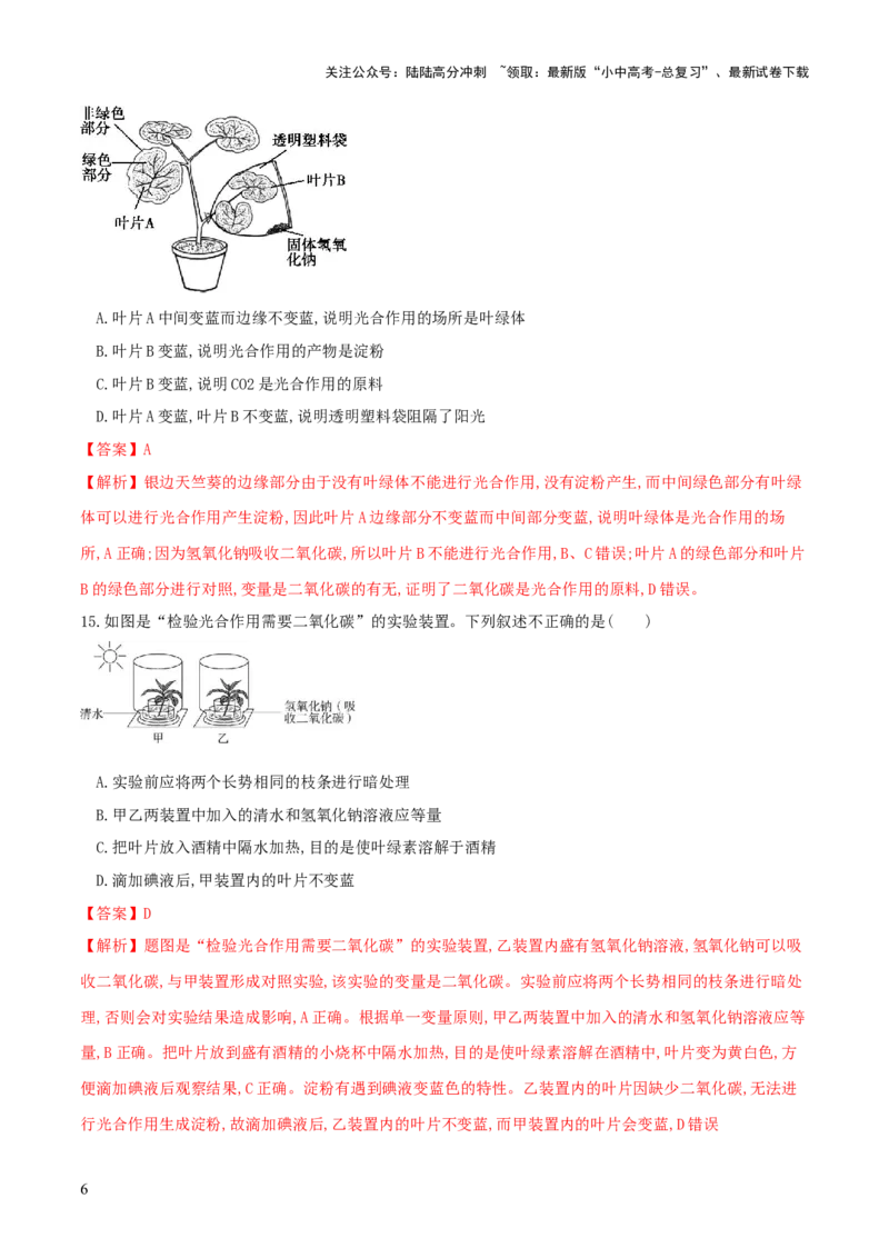 专题07绿色植物的光合作用（练习）（解析版）_02中考总复习（2026版更新中）_08-生物-中考总复习_2024年中考复习资料_一轮复习_❤2024年中考生物一轮复习讲练测（全国通用）_练习