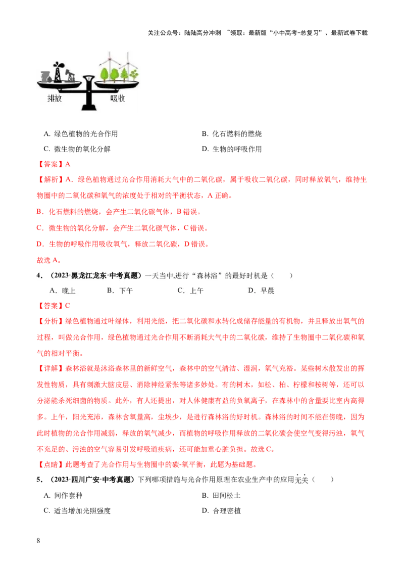 专题07绿色植物的光合作用（练习）（解析版）_02中考总复习（2026版更新中）_08-生物-中考总复习_2024年中考复习资料_一轮复习_❤2024年中考生物一轮复习讲练测（全国通用）_练习