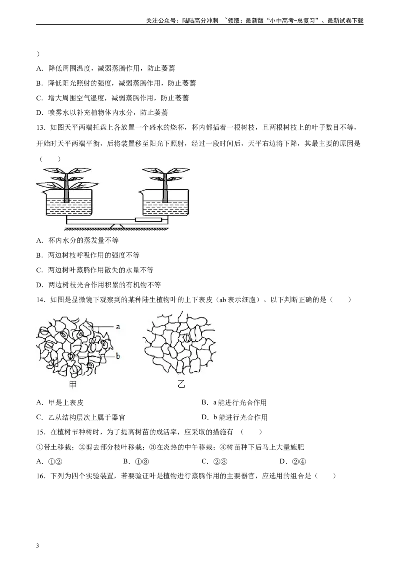 专题06绿色植物与生物圈中的水循环（习题精练）（原卷版）_02中考总复习（2026版更新中）_08-生物-中考总复习_2024年中考复习资料_一轮复习_配套练习（原卷版+解析版）