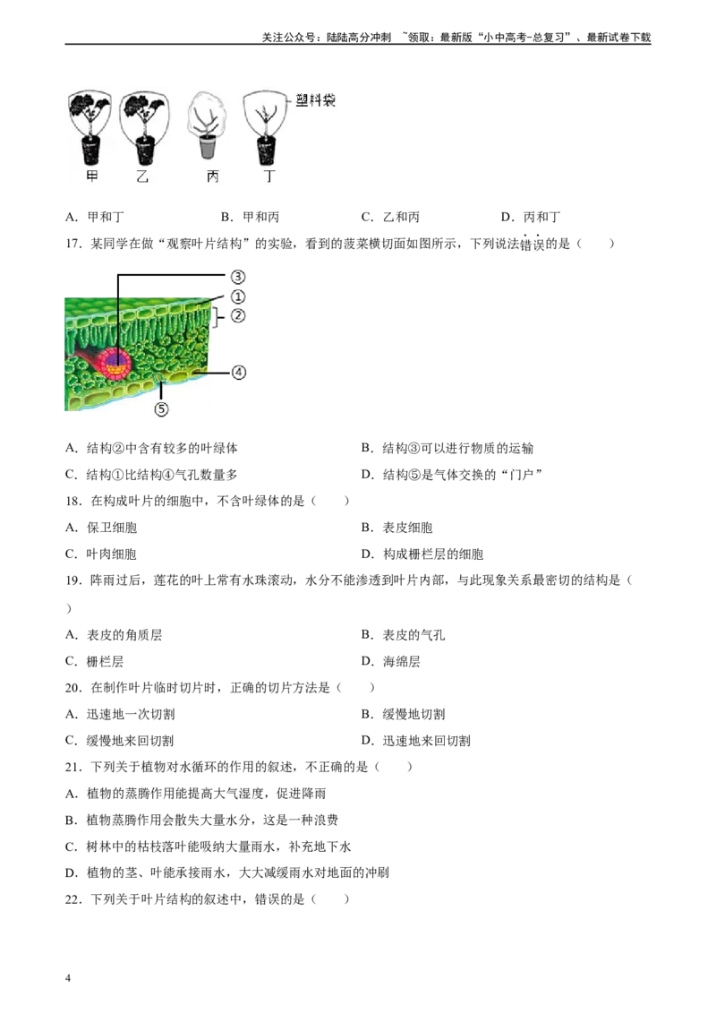 专题06绿色植物与生物圈中的水循环（习题精练）（原卷版）_02中考总复习（2026版更新中）_08-生物-中考总复习_2024年中考复习资料_一轮复习_配套练习（原卷版+解析版）