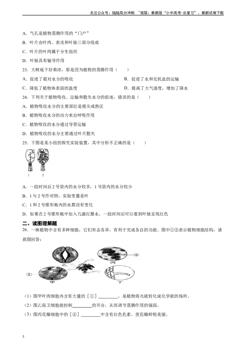 专题06绿色植物与生物圈中的水循环（习题精练）（原卷版）_02中考总复习（2026版更新中）_08-生物-中考总复习_2024年中考复习资料_一轮复习_配套练习（原卷版+解析版）