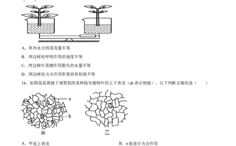 专题06绿色植物与生物圈中的水循环（习题精练）（原卷版）_02中考总复习（2026版更新中）_08-生物-中考总复习_2024年中考复习资料_一轮复习_配套练习（原卷版+解析版）