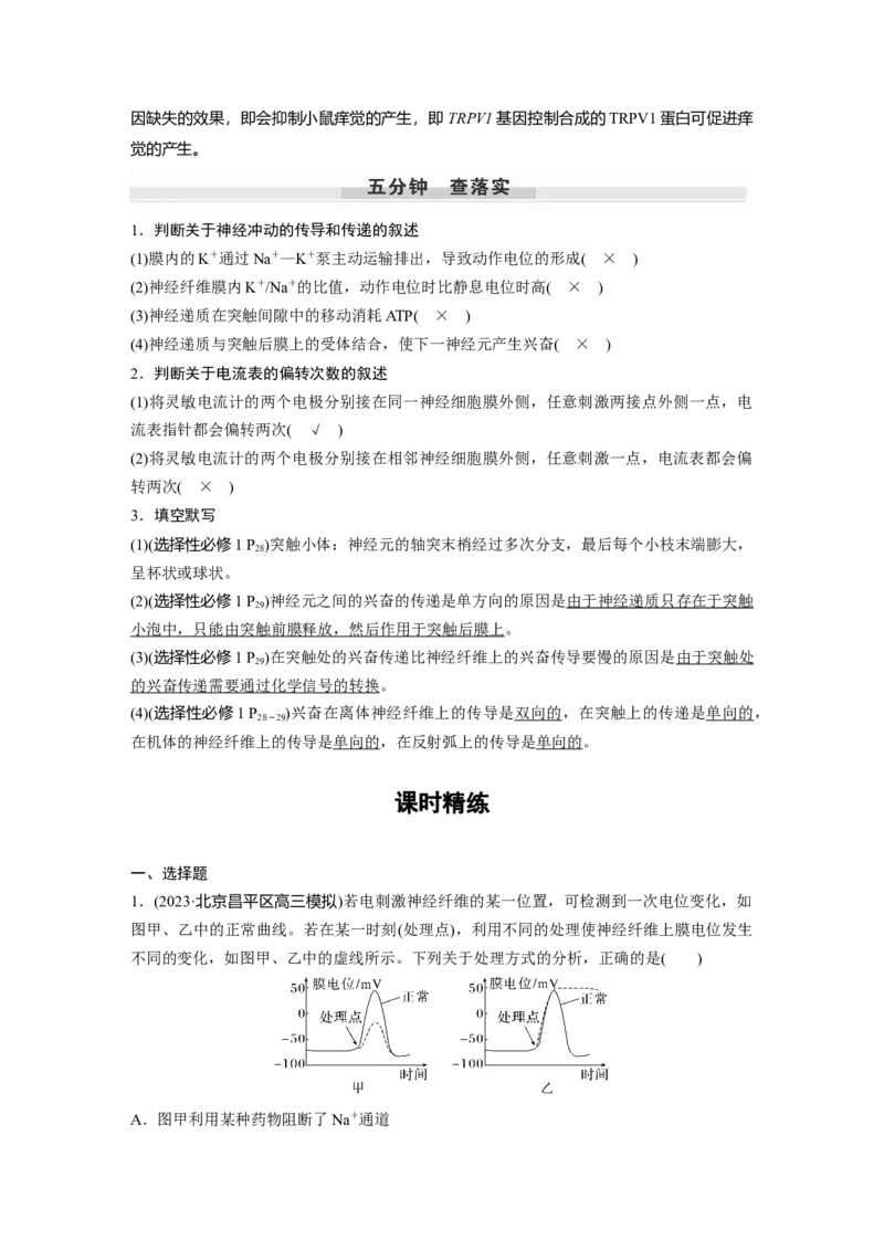2024年高考生物一轮复习（新人教版）第8单元　第3课时　神经冲动的产生、传导和传递_09高考生物_2024年新高考资料_1.2024一轮复习_2024年高考生物一轮复习讲义（新人教版）