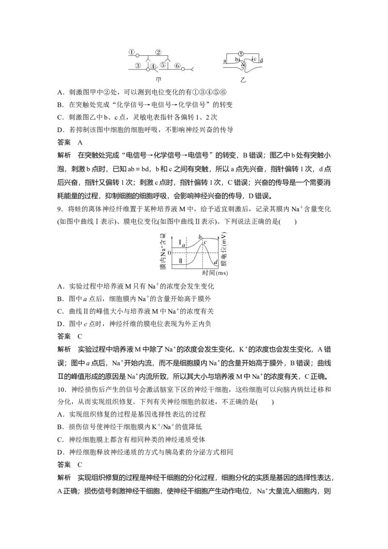 2024年高考生物一轮复习（新人教版）第8单元　第3课时　神经冲动的产生、传导和传递_09高考生物_2024年新高考资料_1.2024一轮复习_2024年高考生物一轮复习讲义（新人教版）