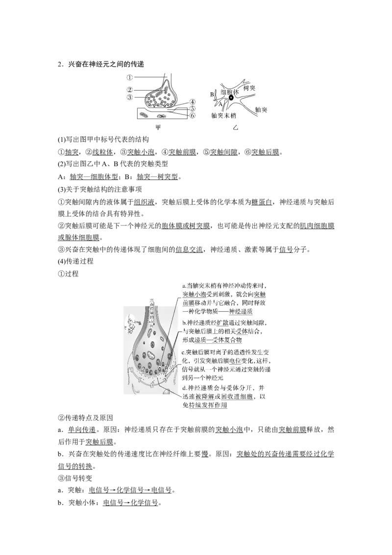 2024年高考生物一轮复习（新人教版）第8单元　第3课时　神经冲动的产生、传导和传递_09高考生物_2024年新高考资料_1.2024一轮复习_2024年高考生物一轮复习讲义（新人教版）