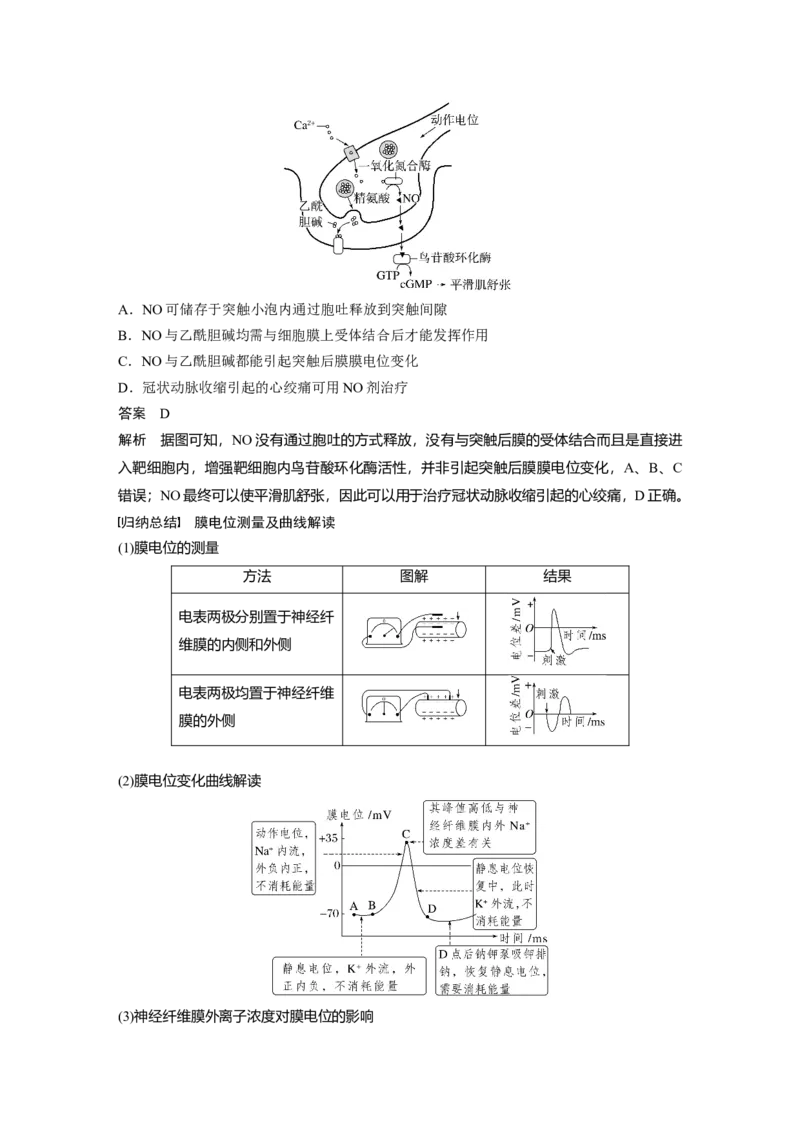 2024年高考生物一轮复习（新人教版）第8单元　第3课时　神经冲动的产生、传导和传递_09高考生物_2024年新高考资料_1.2024一轮复习_2024年高考生物一轮复习讲义（新人教版）